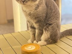 -士多咖啡·Stop Coffee