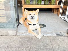 -懒人盐府人家·自贡大麻鱼(安贞店)