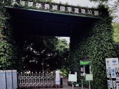-华侨城湿地公园