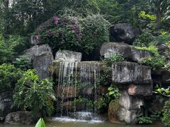 -广州神农草堂中医药博物馆