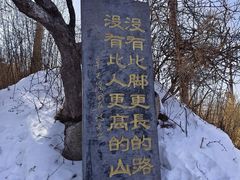 -洛阳白云山景区