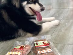 -爱侣宠医·鹦鹉专科·小型哺乳类·异宠专科(灵石路店)