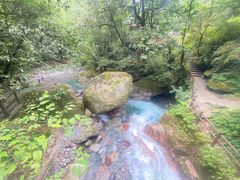 -西岭雪山大飞水景区