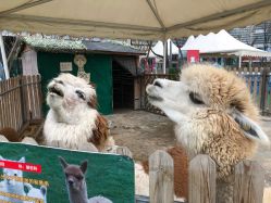 -萌宠亲子动物乐园(槐房万达店)