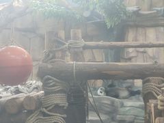 -泉州海丝野生动物世界