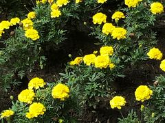 -黑龙江省森林植物园