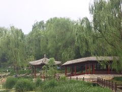 -北坞公园