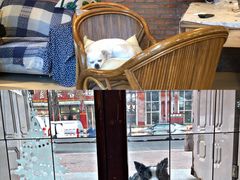 -哈尔滨北方国际青年旅舍(中央大街店)