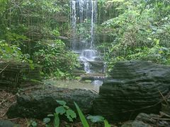 -水濂山森林公园