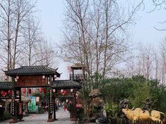 -合肥滨湖国家森林公园