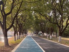 -昆山城市生态森林公园