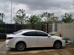 -南汇新场正宗水蜜桃采摘