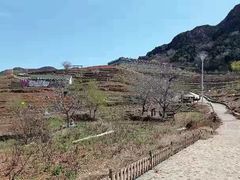 -密云玫瑰情园