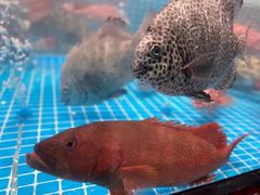 -文涵小院·邻里厨房