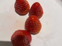 -小满海鲜·别院(天津旗舰店)