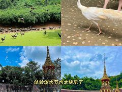 -西双版纳勐泐文化旅游区