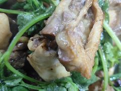 -华仔土鸡店(南洲分店)