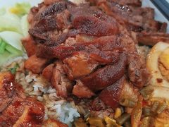 -瑞霖·隆江猪脚饭