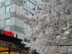 -玛格萝妮比萨屋(四平店)