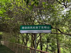 -东明山森林公园