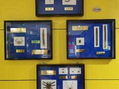 -上海昆虫博物馆