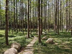 -河南省黄河迎宾馆