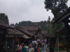 -秀丽东方