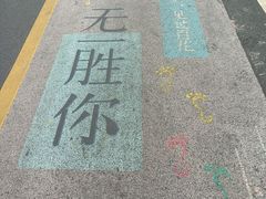 -贵州百里杜鹃风景名胜区