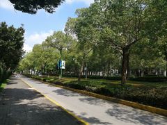 -闵行体育馆-停车场