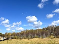 -塞罕坝国家级自然保护区