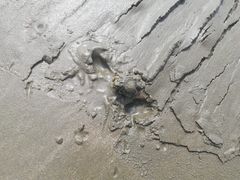 -江山半岛白浪滩景区