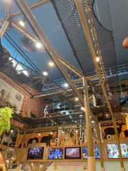 -卡通尼·Safari非洲探索乐园·生日会(金桥国际商业广场店)