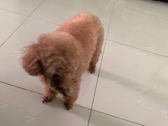 -美迦爱-牙专科·兔科·骨科诊疗中心(北苑店)