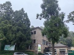 -莫干山风景区