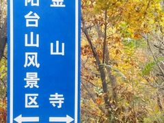 -阳台山自然风景区