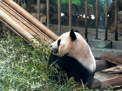 -杭州动物园