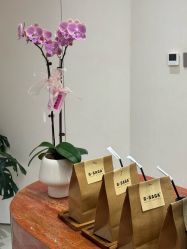 -G-SAGA形象设计