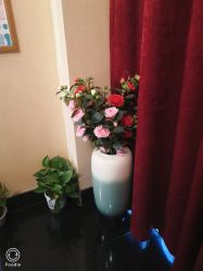 -唯伊美塑身美养连锁