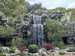 -上海鲜花港