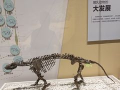 -国家自然博物馆