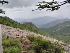 -朱雀国家森林公园
