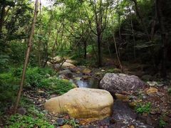 -云岫谷自然风景区