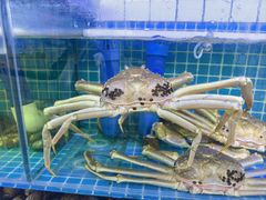 -震海贝烤贝·民俗特色店(延吉总店)