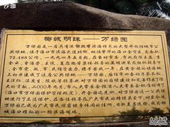 -万绿园