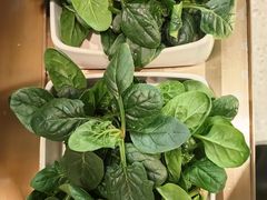 -左庭右院鲜牛肉火锅(南通CBD大有境店)