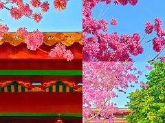 -天竺岩寺