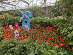 -南宫五洲植物乐园