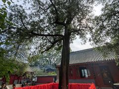 -红螺寺