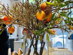 -小豆海棠(嘉兴路店)