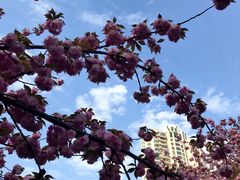 -苏州河梦清园环保主题公园